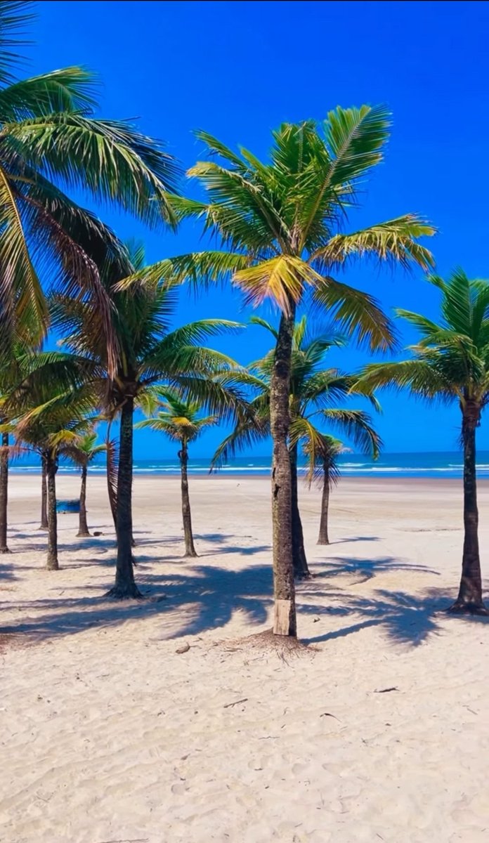 Buon mercoledì a tutti!
😃🌴☀️