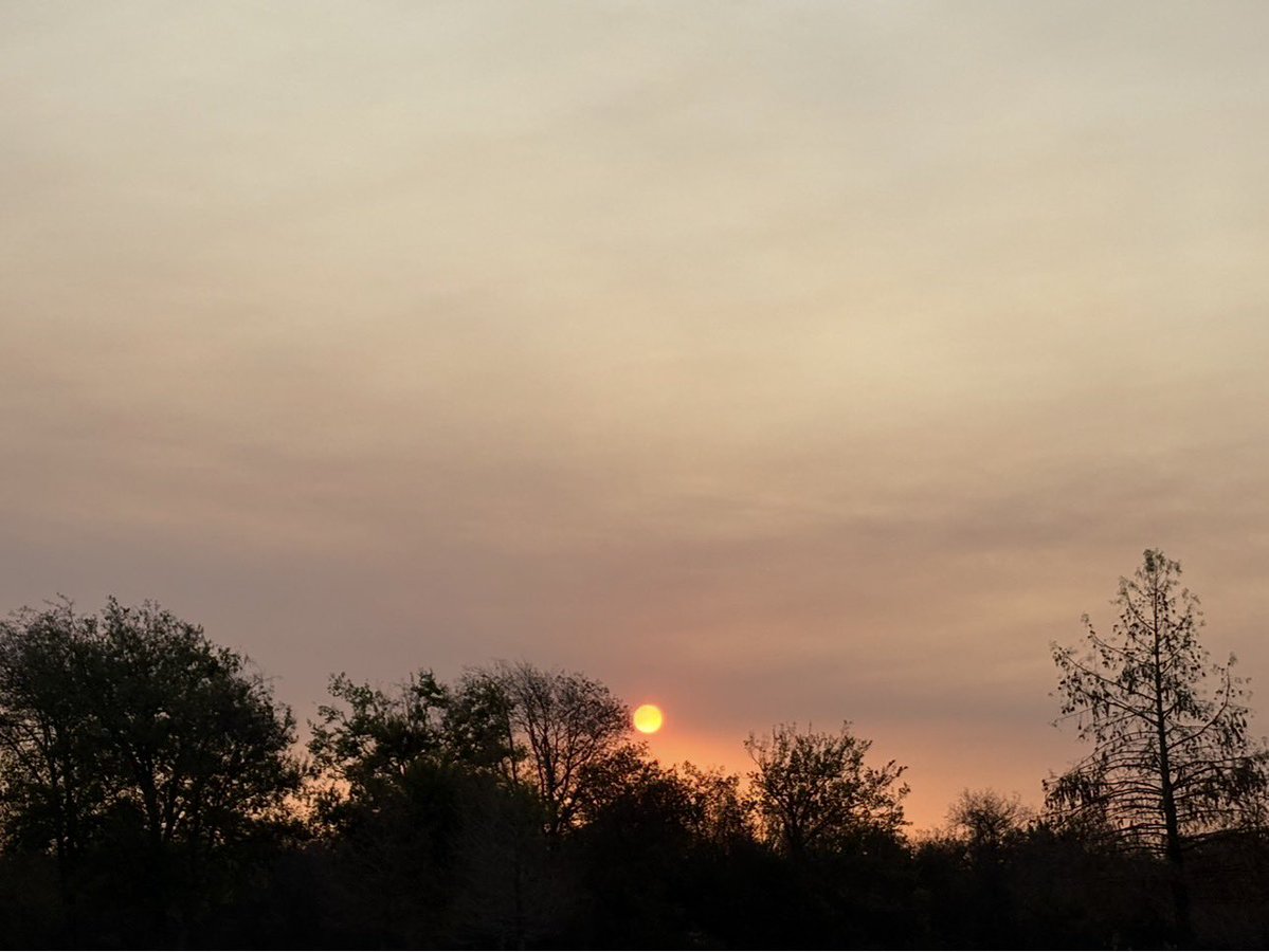 𝙴𝚕𝚕𝚎 ⋆˙⟡ tweet media