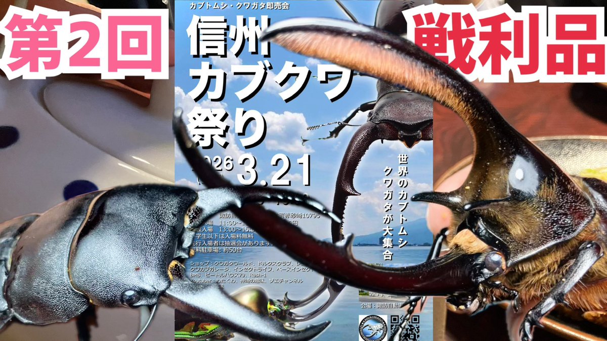 yuckey/ゆっきー tweet media