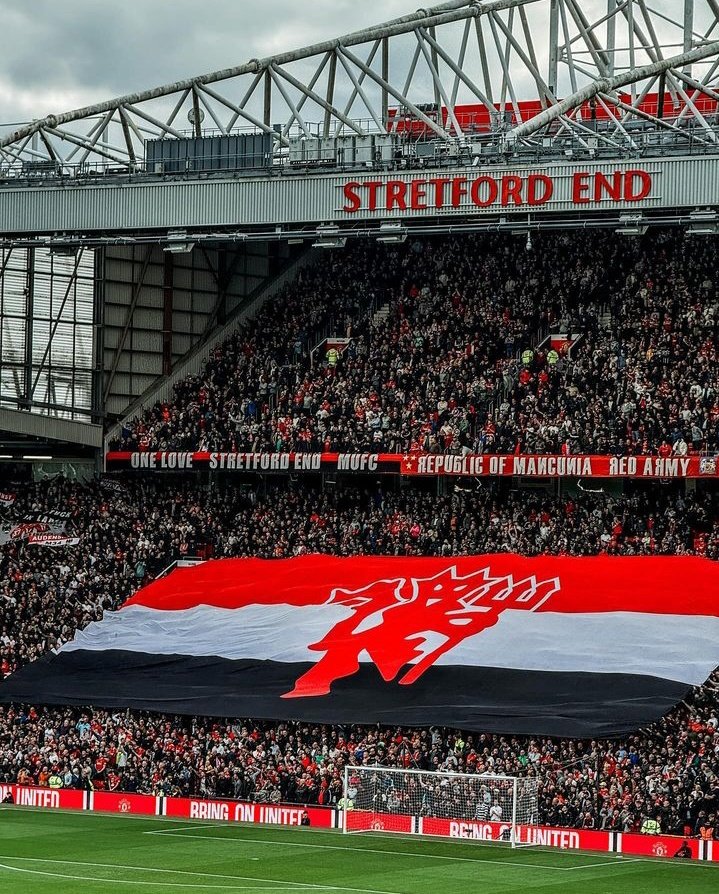 Paul Manc Bald and Bred tweet media