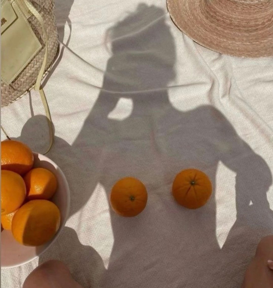 anna 🌹🦂 tweet media