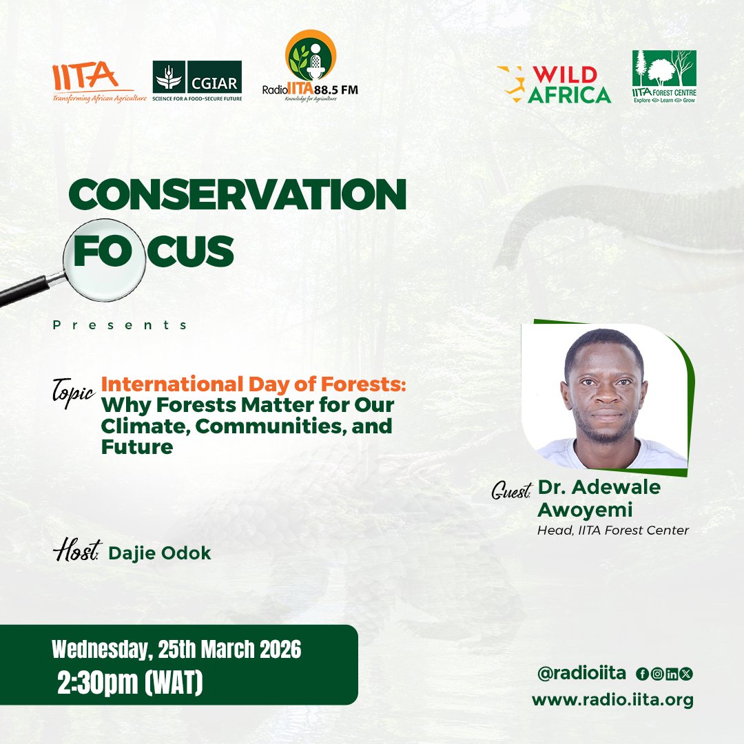 RadioIITA tweet media