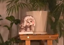 #トリッカル #トリッカルハーフアニバ
ずっと動いてて可愛すぎるwww