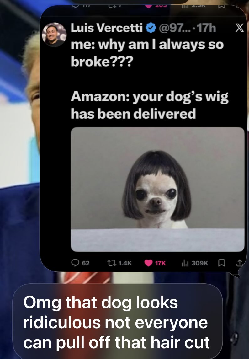 Salty Scallawag tweet media