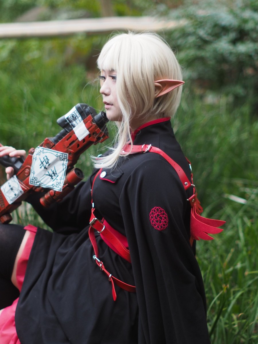 玉房 菊花 tweet media