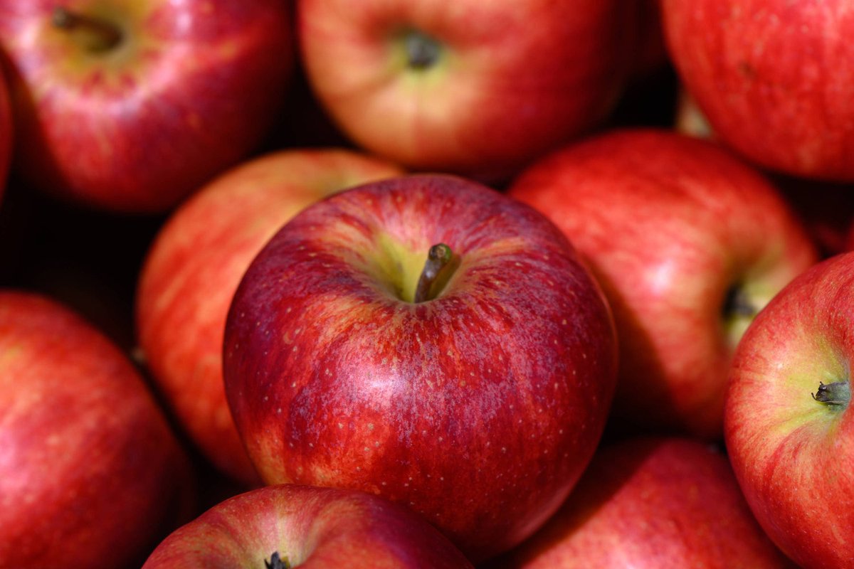 JoseNunesonx's tweet photo. Bom dia, Família @TradebyCdA
Estamos #abertos desde as 08h30 até às 19h00 para vos receber!
Hoje em particular temos novidades da Maçã @Apple!
Em encomenda e com entrega a partir de Abril, com #desconto!
Vamos?
#AirpodsMax2 https://t.co/NTKWP2URa7