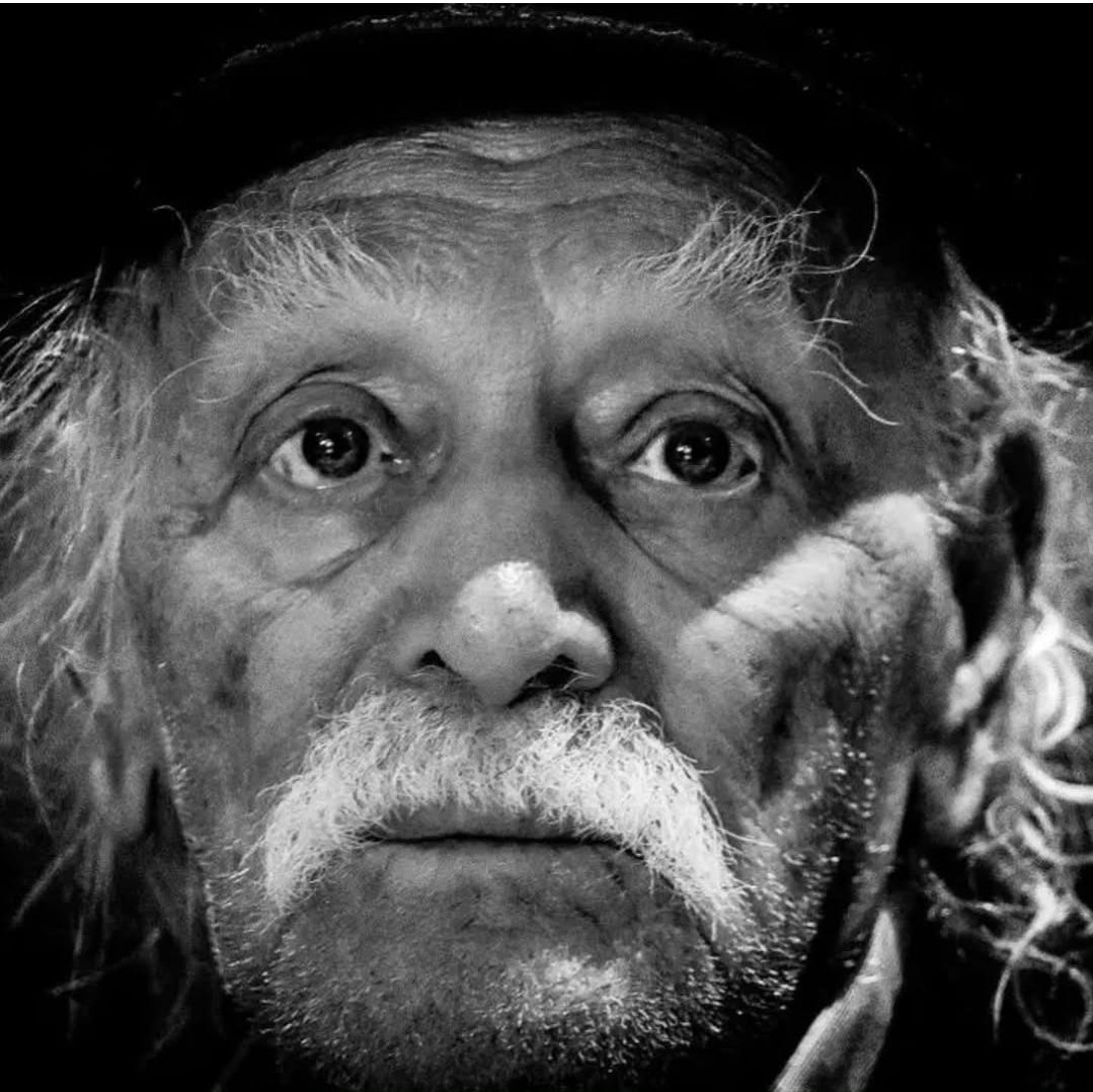 eleonora tweet media