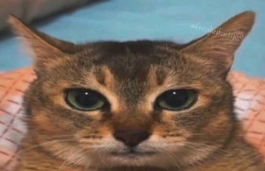 Damian (COMMS OPEN) tweet media