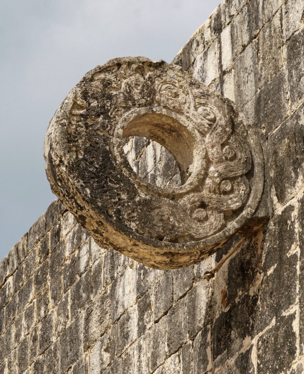 M.Mouse 🏴‍☠️ 🟢Indi+Torreznos+Cafe🟡 tweet media