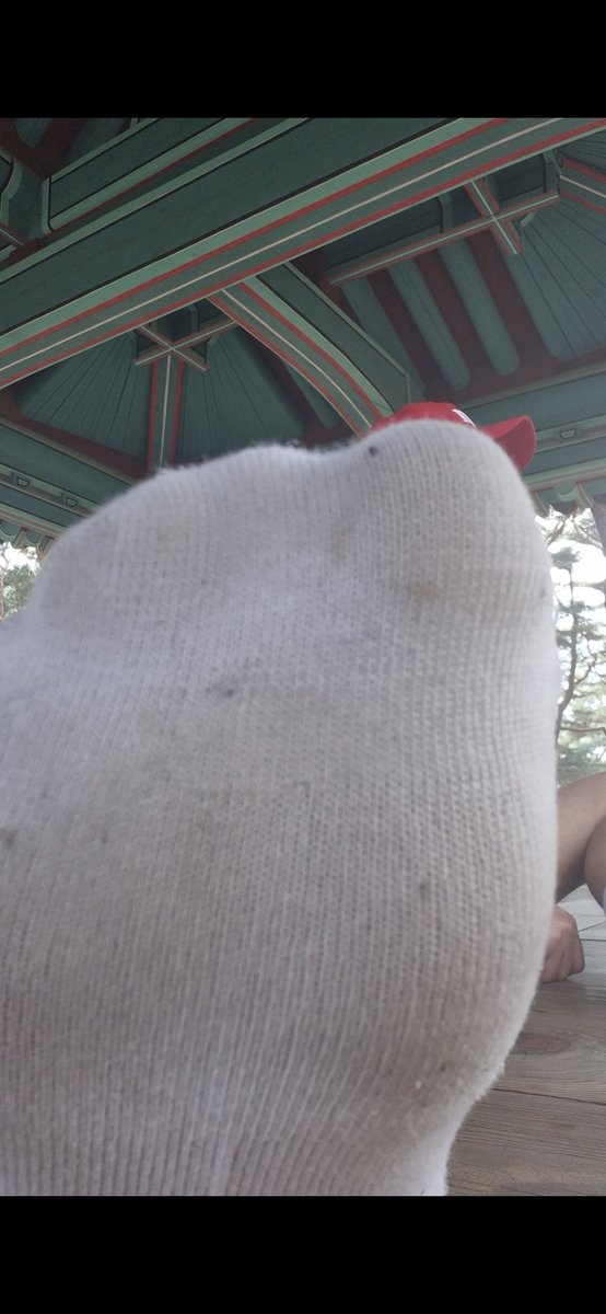 허벌텀 tweet media