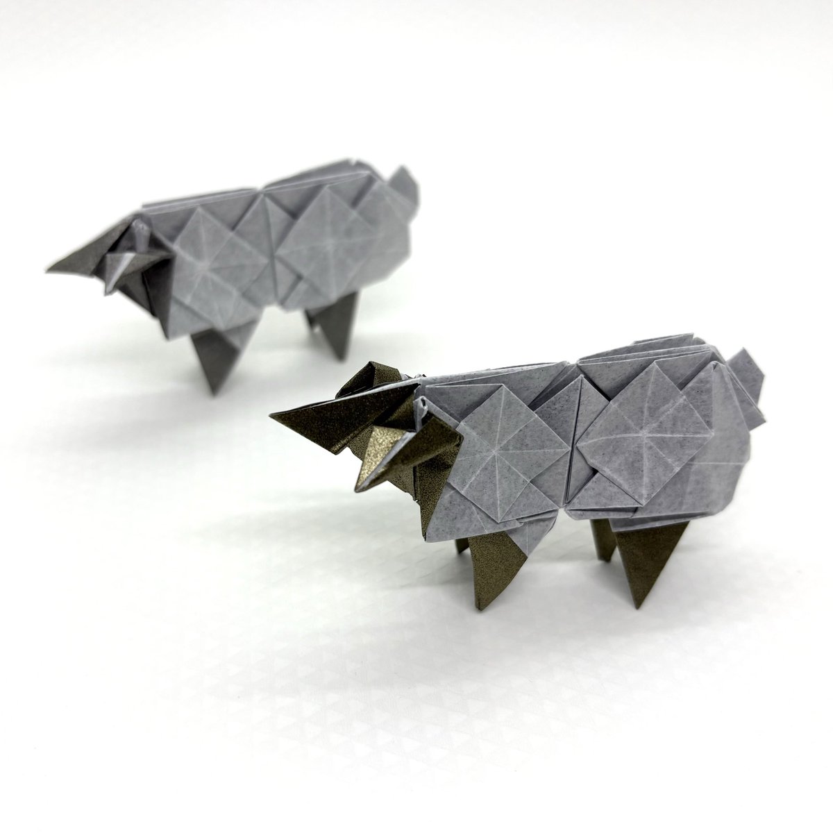 紙文房あらき/kamibunbouaraki tweet media