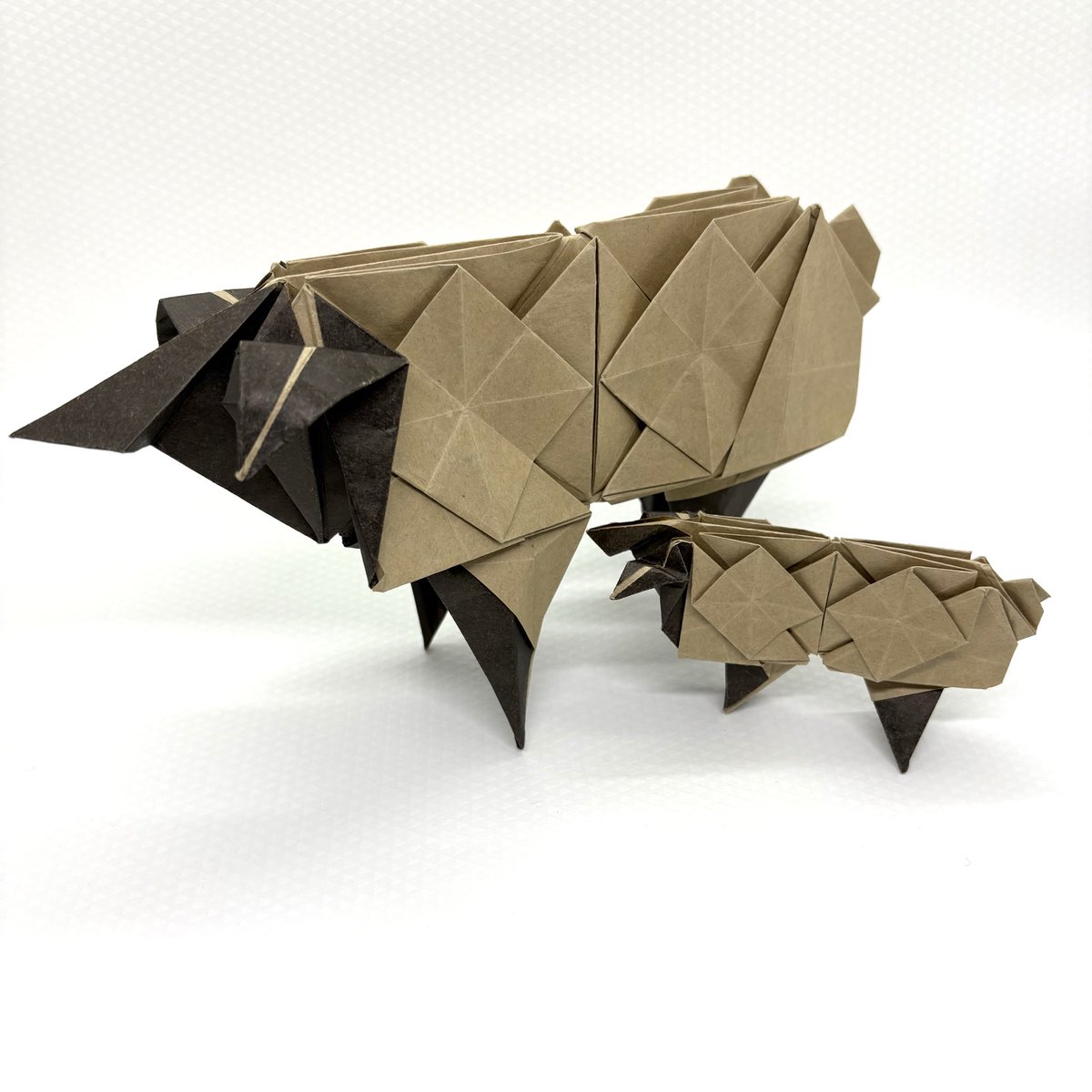 紙文房あらき/kamibunbouaraki tweet media