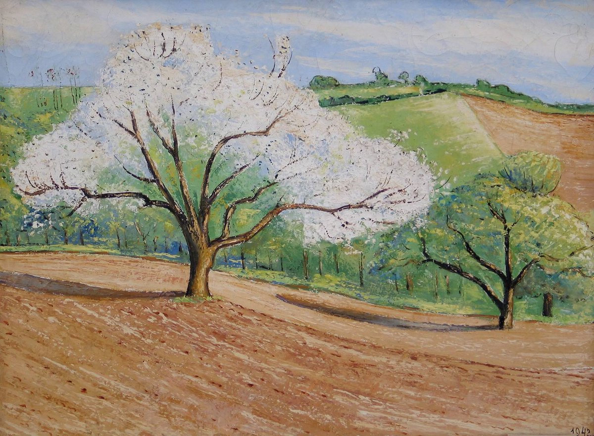 Жељана tweet media