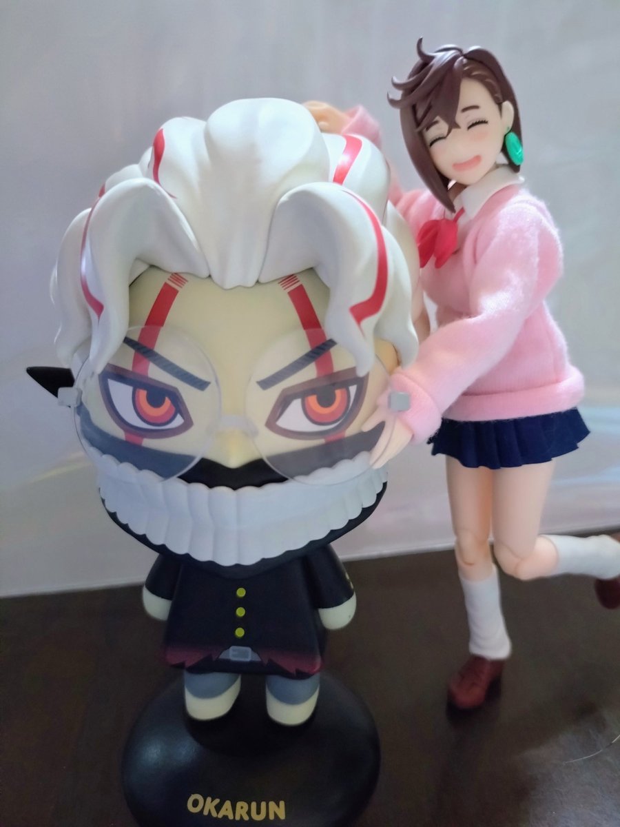 もちもちの猫 tweet media