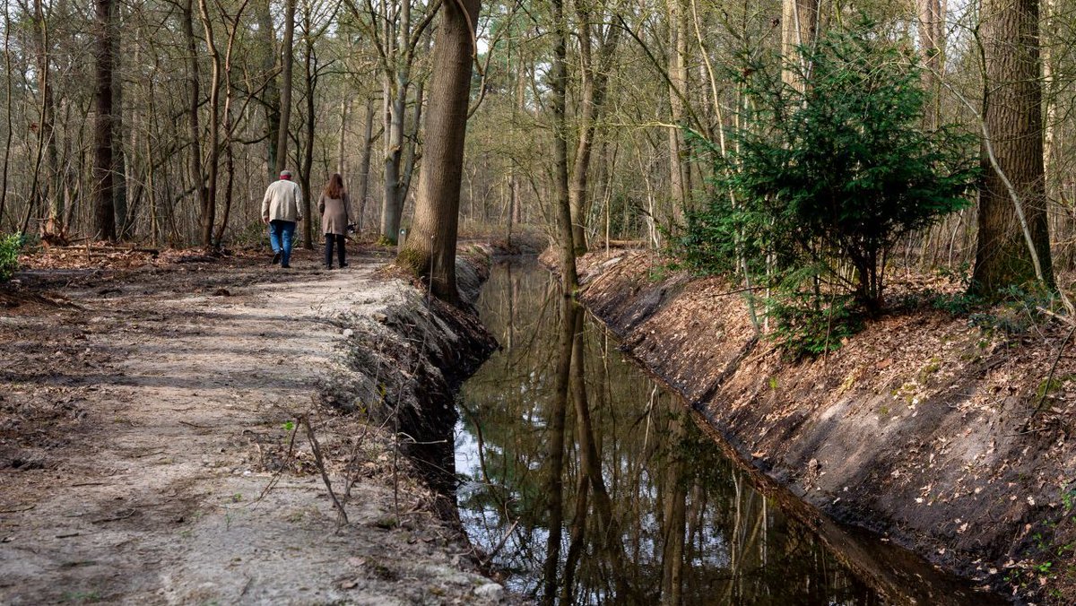 Provincie Noord-Brabant tweet media