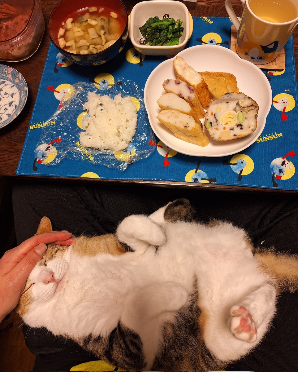 にこちゃまちゃんぬる tweet media