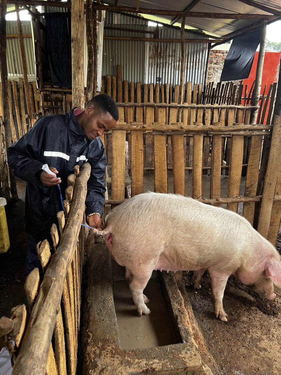 SMARTFARM SOLUTIONS LTD tweet media