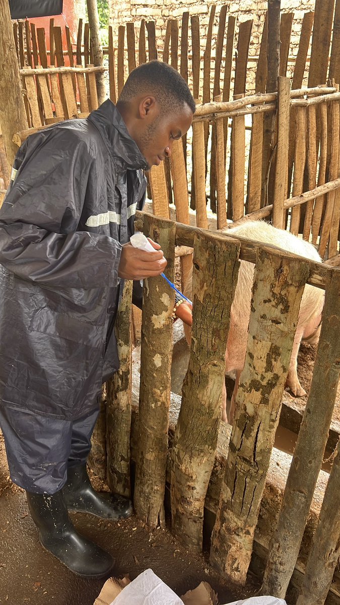 SMARTFARM SOLUTIONS LTD tweet media