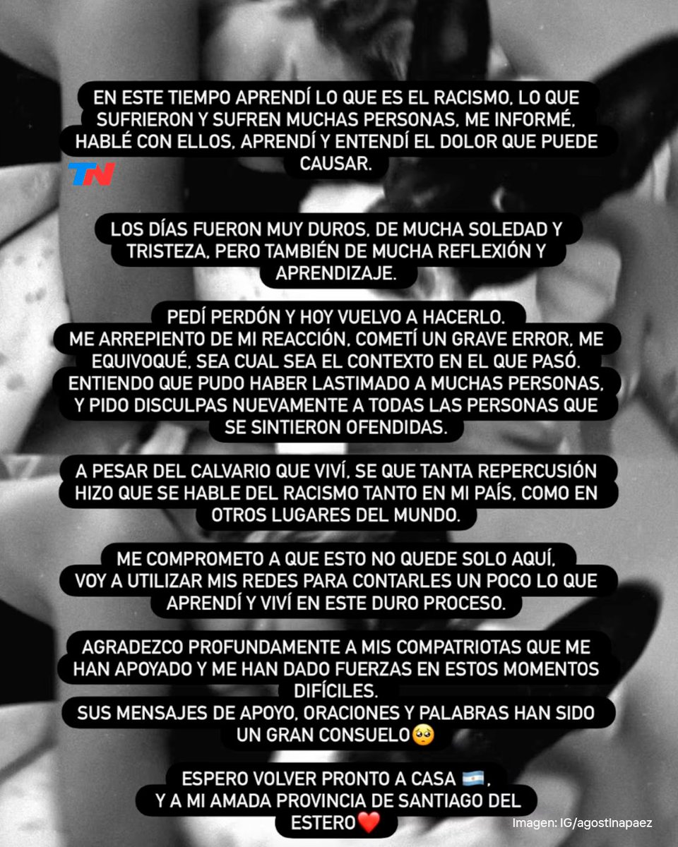 TN - Todo Noticias tweet media