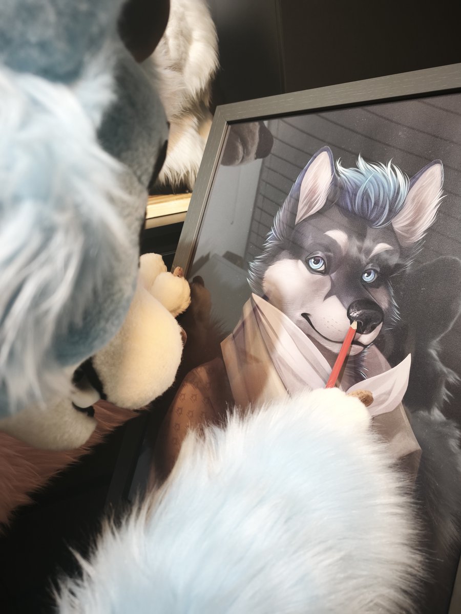 Freunde auf 2 Pfoten e. V. tweet media