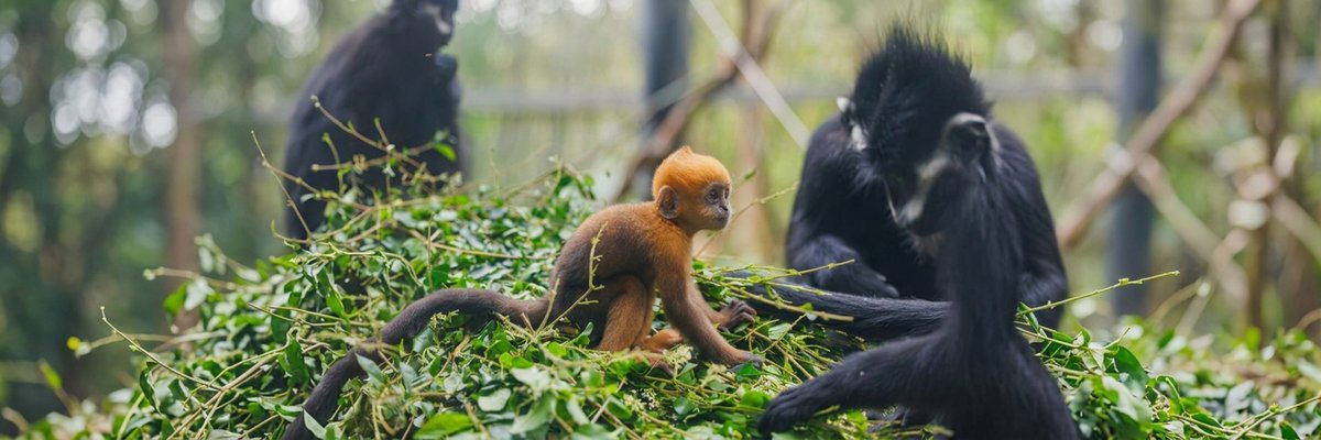 digitalizedmanul tweet media