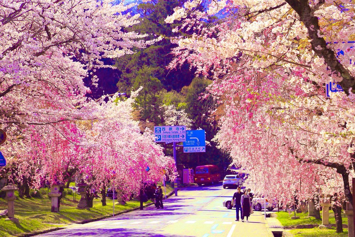 鴨コス🦆公式 tweet media