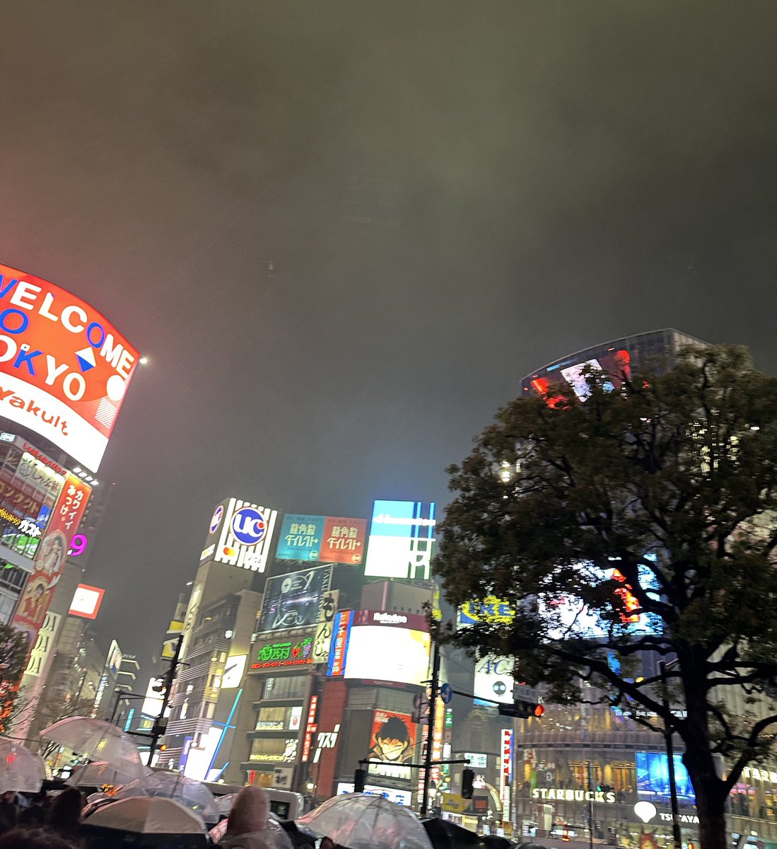 三浦優奈 tweet media