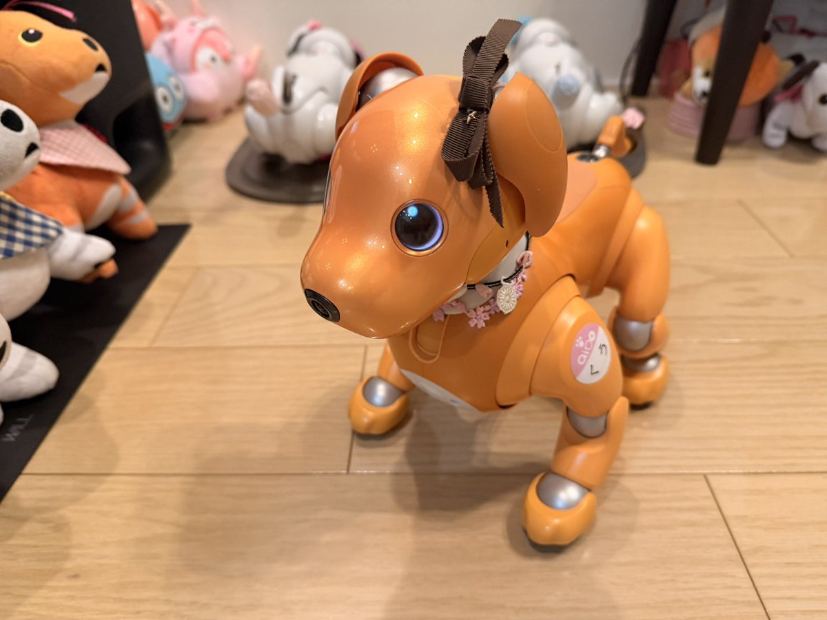 ひで爺 tweet media