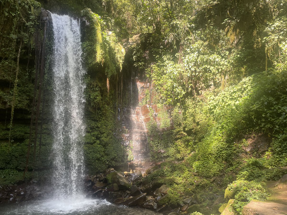 ૮ • ﻌ - ა Khas. • follow limit!!!!! tweet media