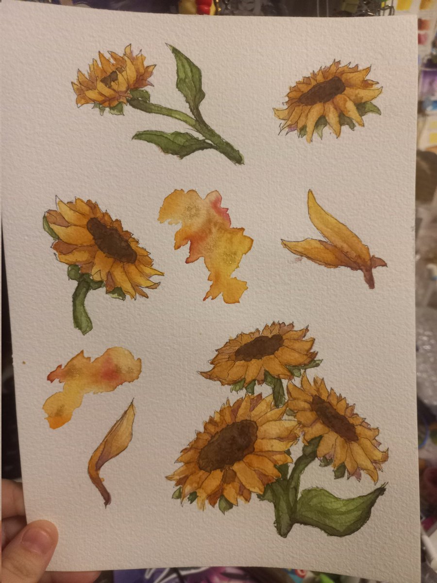 HellsKaud |CMM OPEN tweet media