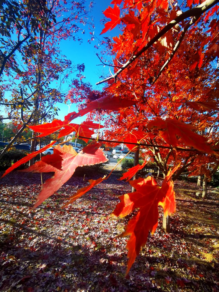 Тимур Мустаков tweet media