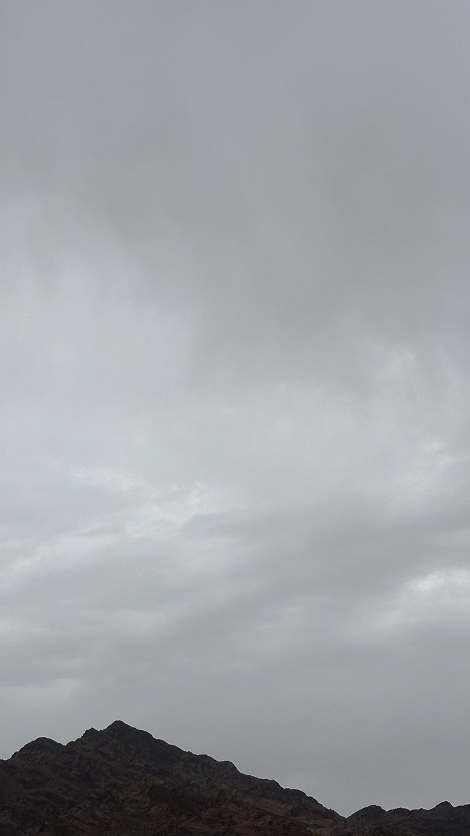 بسطام🌟 tweet media