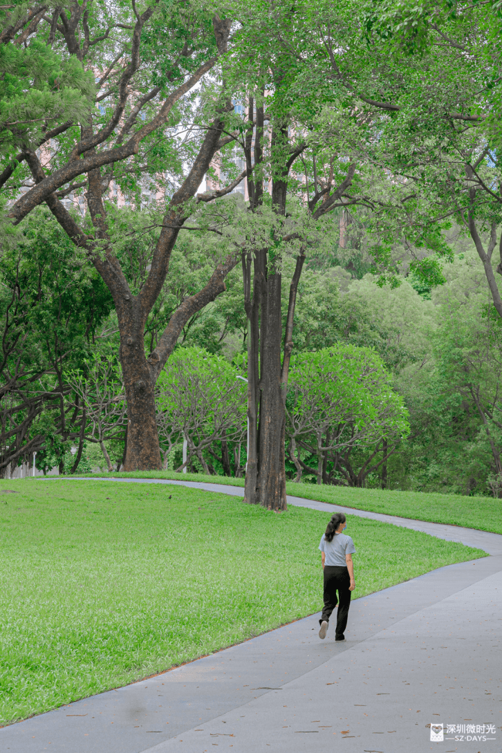 alhaji kankani osman tweet media