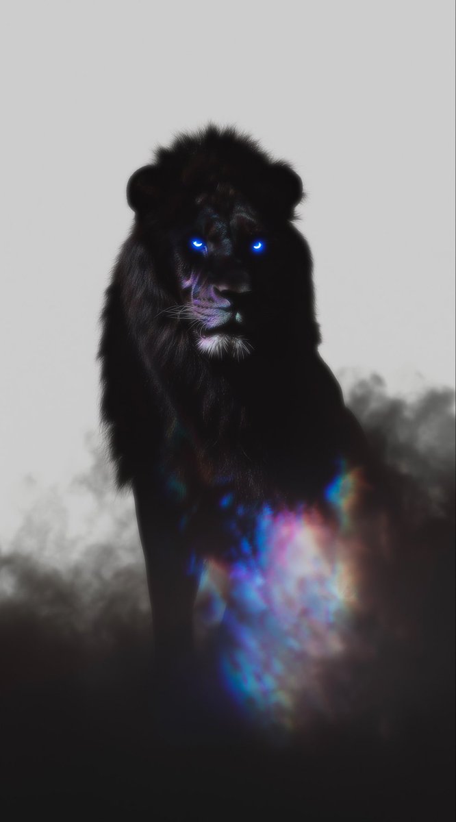 CreativityAlgorithm tweet media