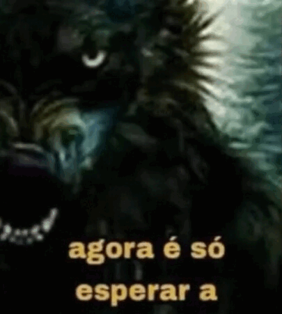 jotaS ☭ 🇧🇷🏳️‍🌈🇻🇪🇨🇺🇵🇸 tweet media