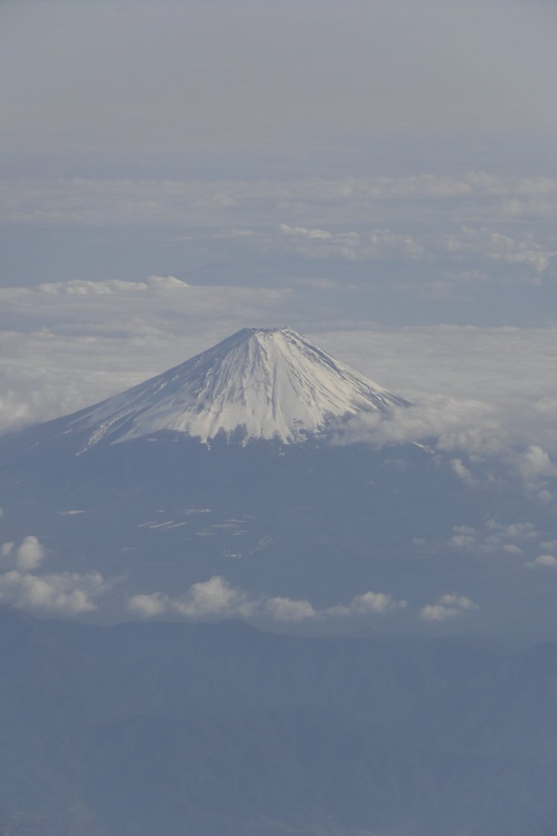 김밥이/코튼이/무명이 tweet media