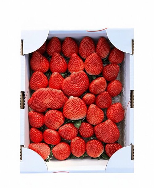 もったいない配達員 🏃 届けたい tweet media