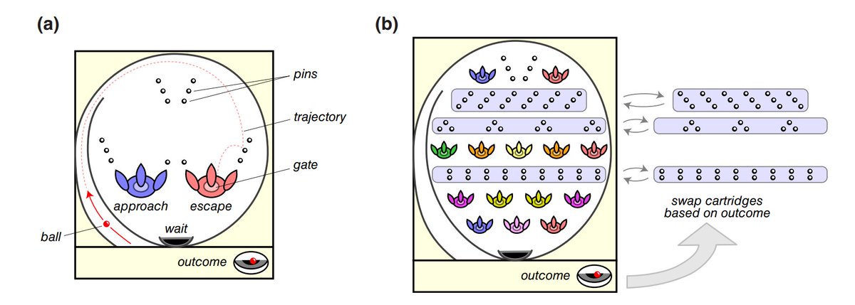 El Paido ®️ tweet media