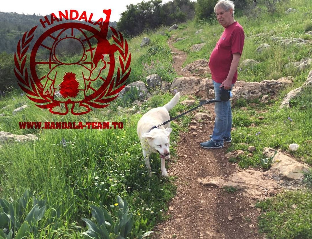 HispanTV tweet media