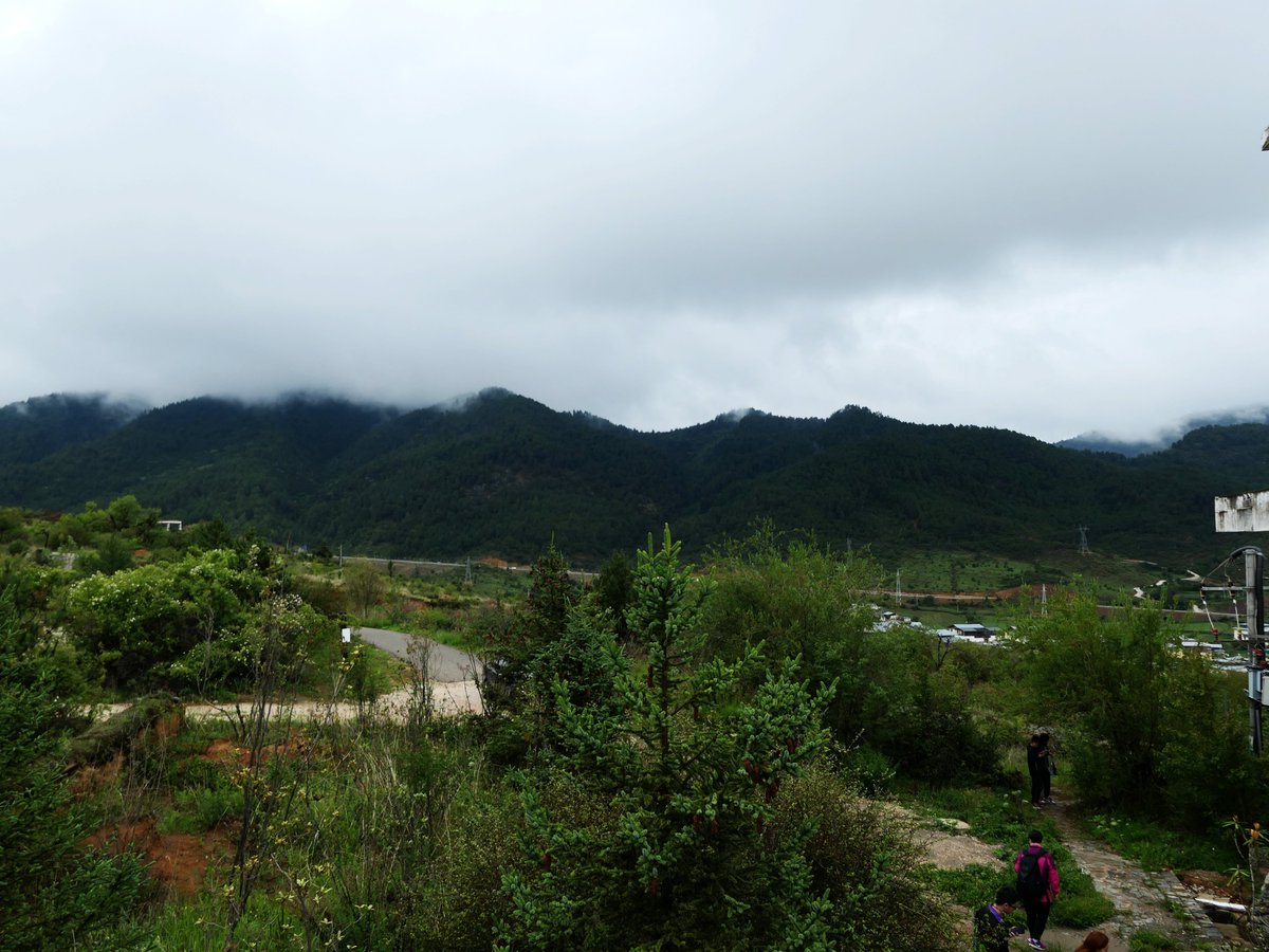 Carlos Jimenez tweet media