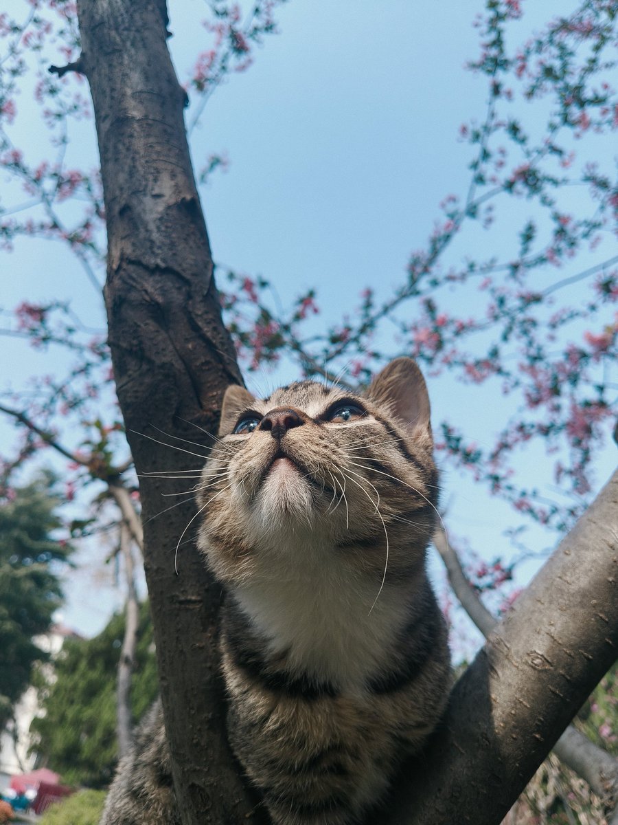 /•᷅‎‎•᷄\୭⋆°✩ ๋࣭ tweet media