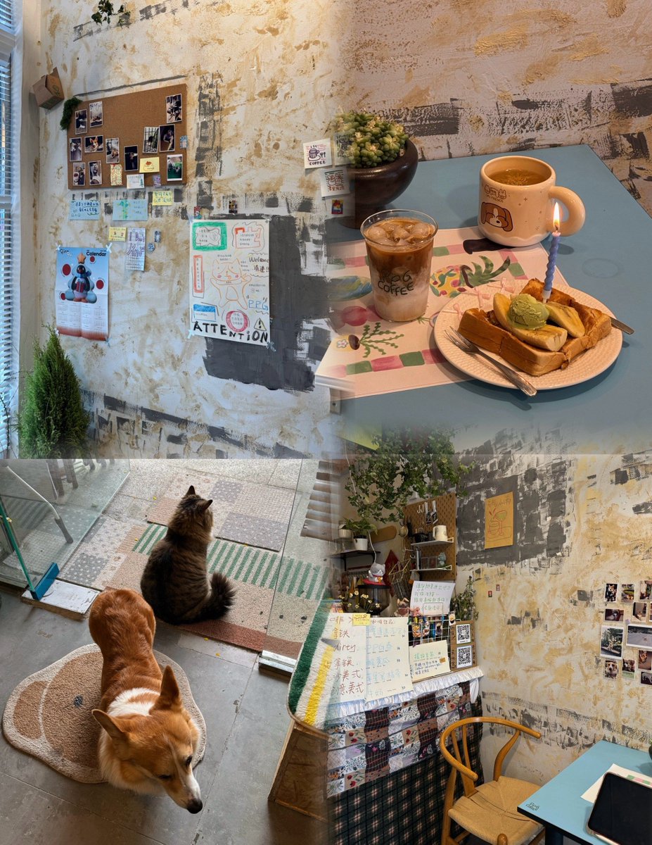 Martina Stoessel tweet media