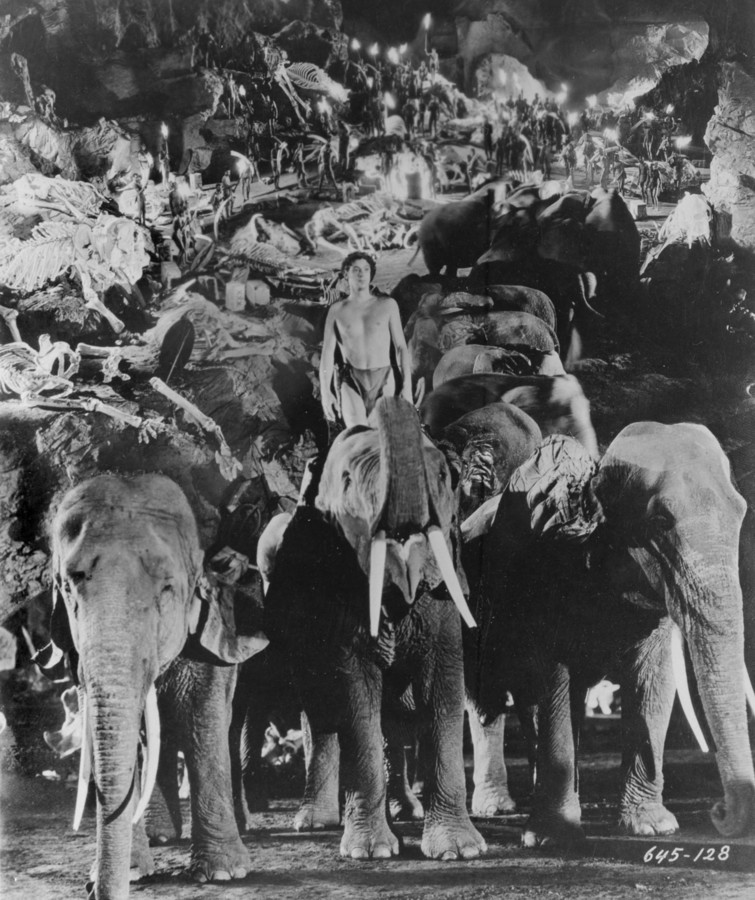 Roger-Viollet tweet media