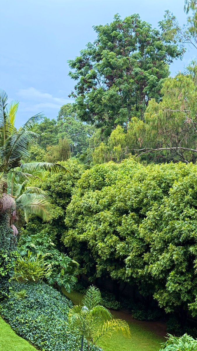 𝒽ℯ𝓁𝒾𝓊𝓂 tweet media