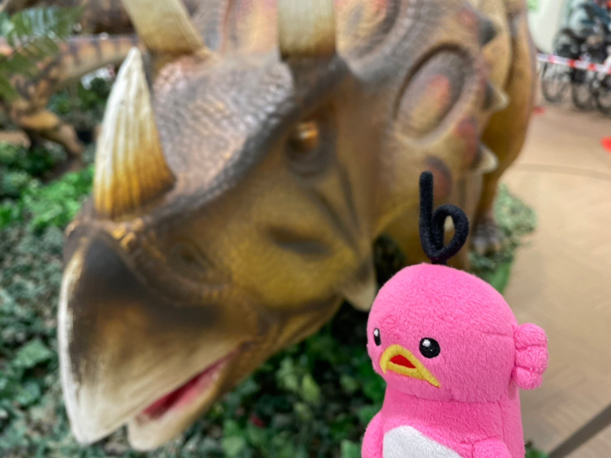 エビシー【公式】 tweet media