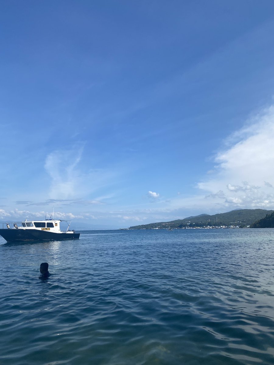 Noemi Hestia 🕊️🏳️ tweet media