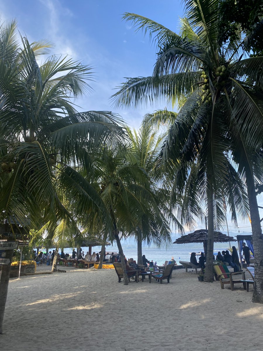 Noemi Hestia 🕊️🏳️ tweet media