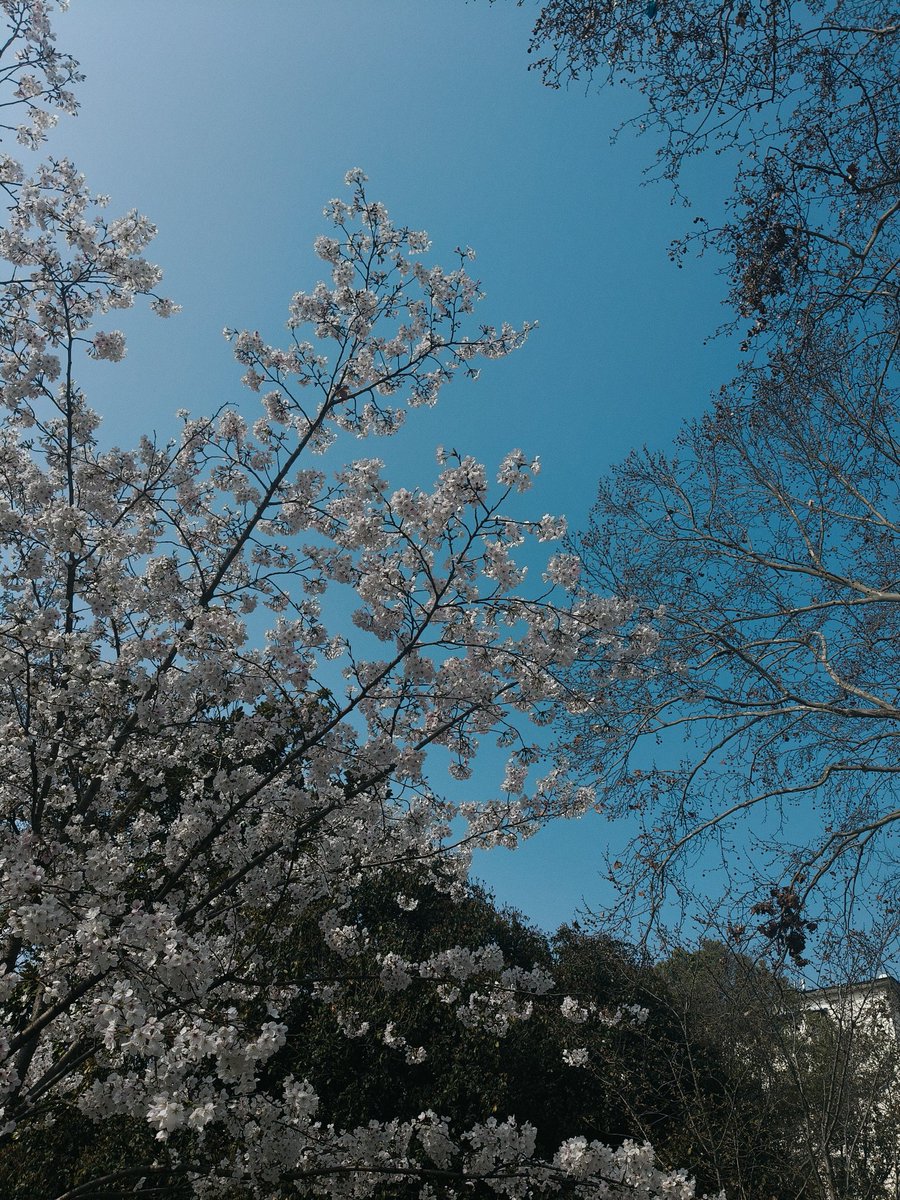 /•᷅‎‎•᷄\୭⋆°✩ ๋࣭ (@xxxxx62778) on Twitter photo 