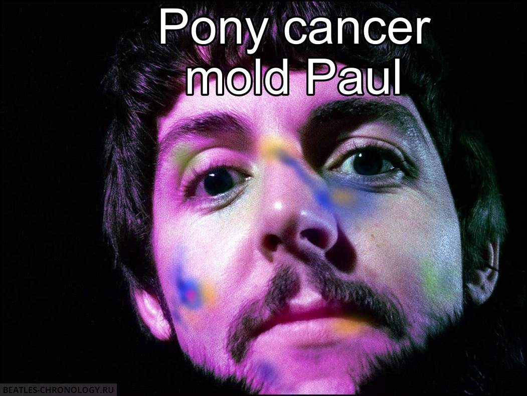 ringofromphilly's tweet image. “what if i used ai to give paul blue eyes” ok but what if he had pony cancer mold huh? then what?