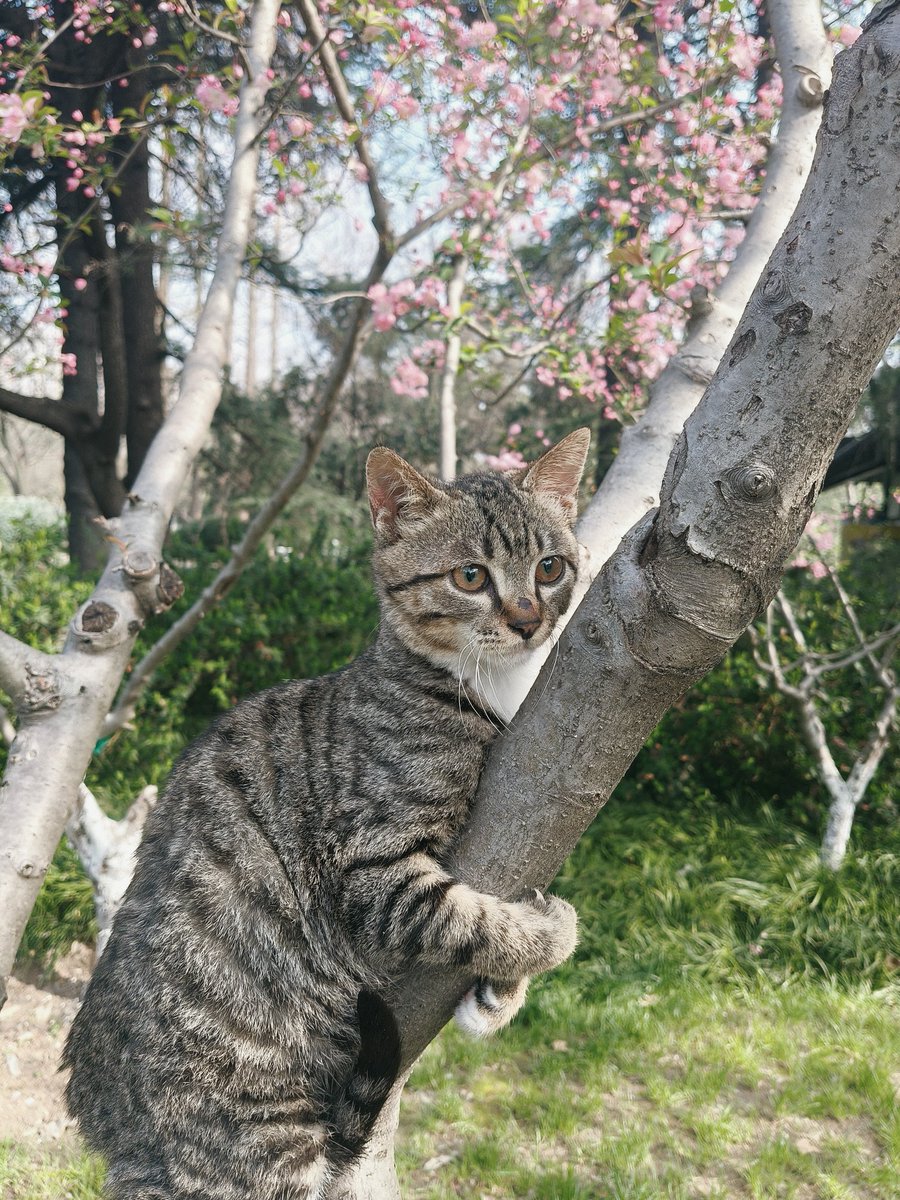 妈妈这样子真的好看吗？真的有姨姨们会喜欢蒜鸟吗？